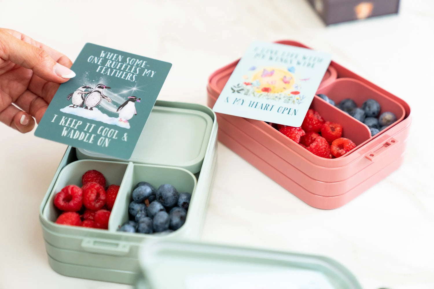 Affirmation Card Deck for Kids | Earth Edition | Dog Lover Gift by Nest &amp; Nova