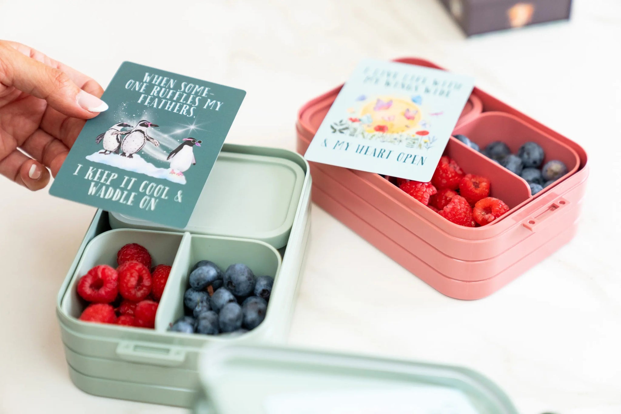 Affirmation Card Deck for Kids | Earth Edition | Dog Lover Gift by Nest & Nova